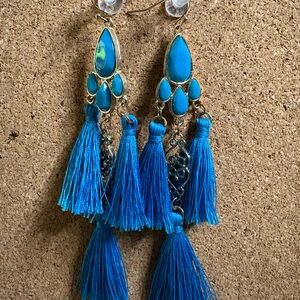 Blue Tassel Dangle Earrings
